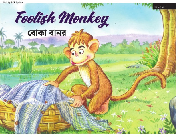 Foolish Monkey